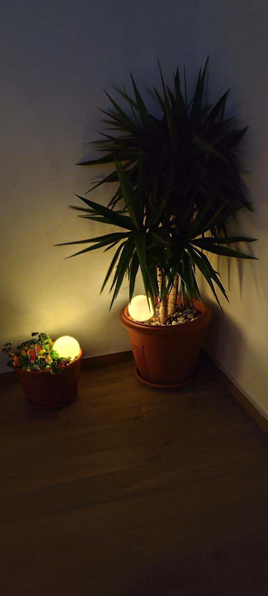 Central Apartment Near The Beach With Huge Private Terrace ルートラキ エクステリア 写真
